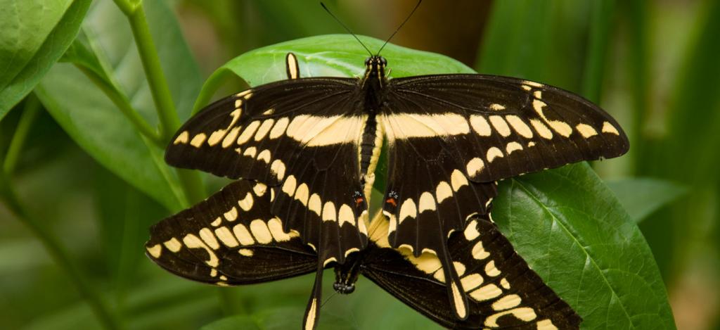 Hotel ecuatoriano entre los 24 selectos del mundo por National Geographic