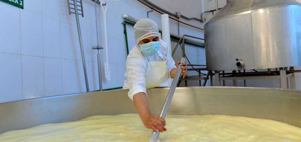 Sector ganadero pide que se defina tema del suero de leche