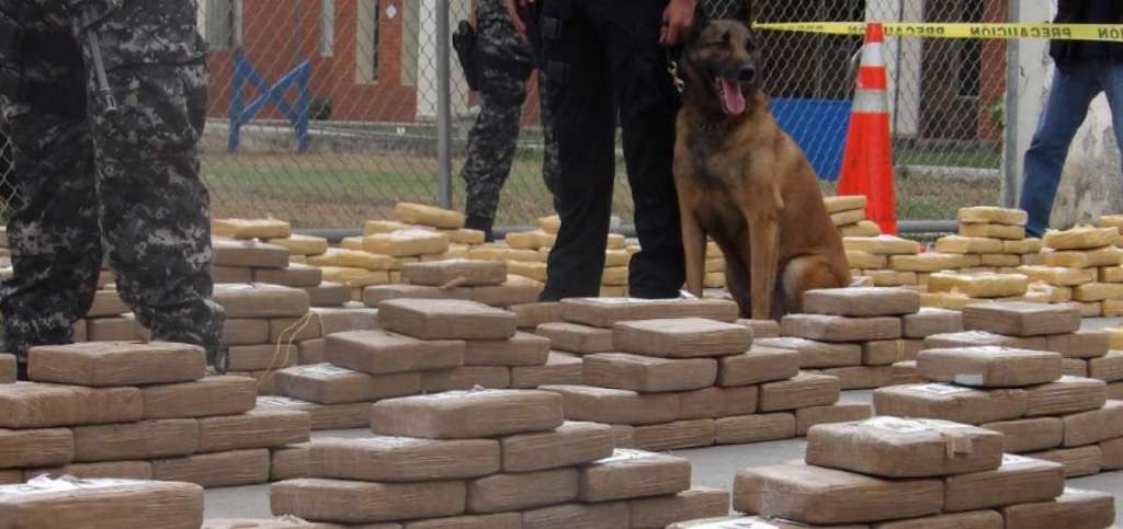 Detienen más de 1750 paquetes de droga en Puerto de Guayaquil