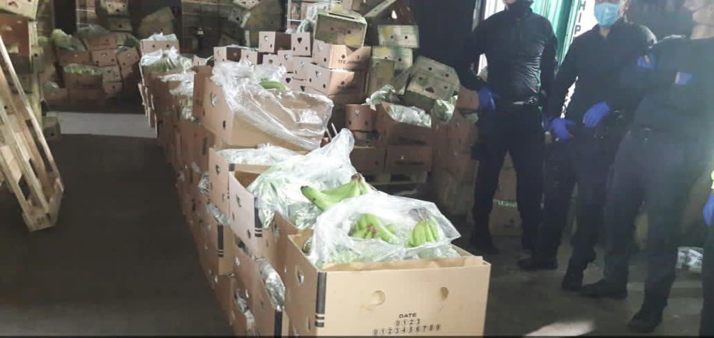 Millonario cargamento de cocaína decomisado en una finca de Machala