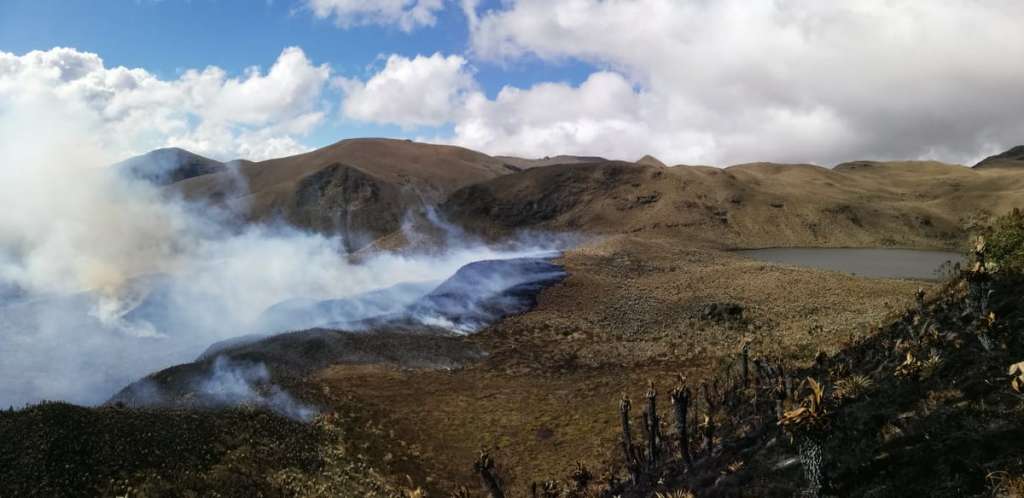 Carchi: 500 hectáreas de páramo perdidas por incendio