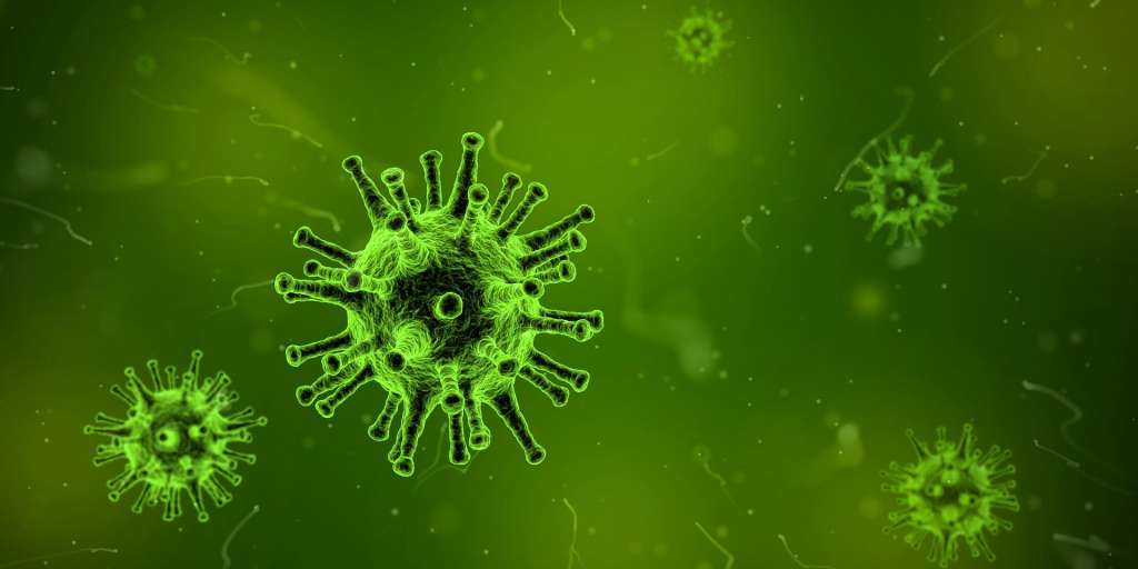 Un virus que mata el cáncer de colon activando el sistema inmunológico