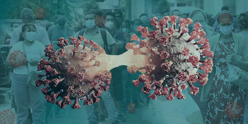 Variante ómicron BA.2 : ¿puede ser peligrosa en Ecuador?