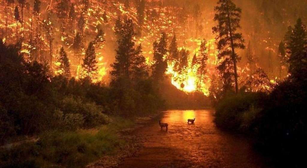 Las fotos engañosas sobre los incendios en la Amazonía