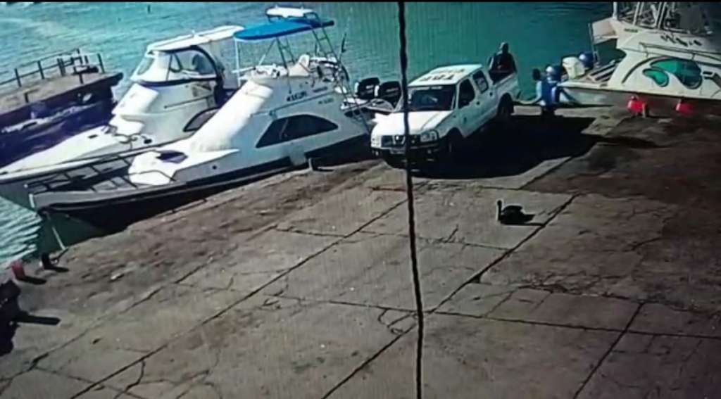 Parque Galápagos investiga posible infracción ambiental