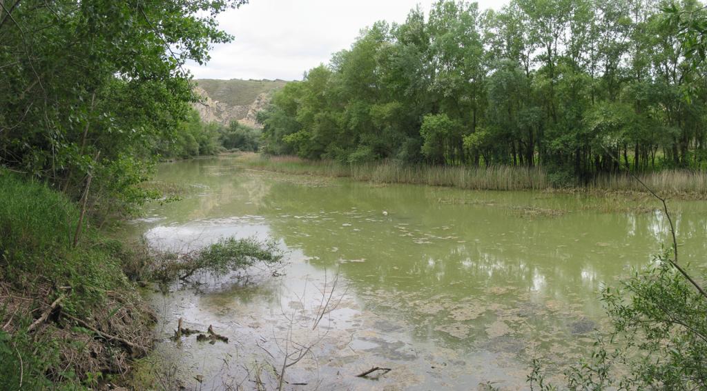 Autoridades confirman mancha de aceite en el río Milagro