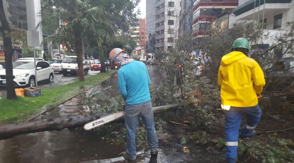 Mauricio Rodas: Lluvia de este lunes en Quito fue la segunda más intensa del invierno