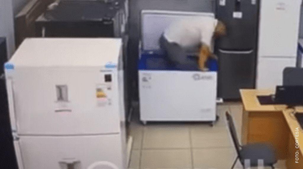Un ladrón queda atrapado tras esconderse dentro de un frigorífico