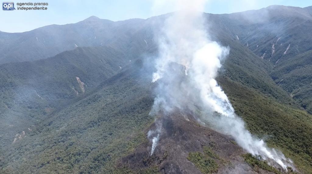Hoy en Televistazo: incendios forestales afectan a provincias