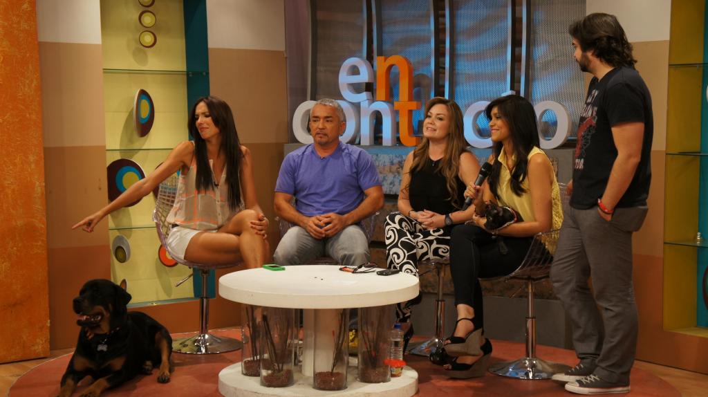 César Millán, el verdadero amigo del perro