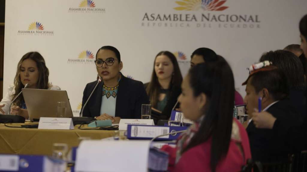 Atamaint: &quot;Creo pretende que Enrique Pita asuma la presidencia del CNE&quot;