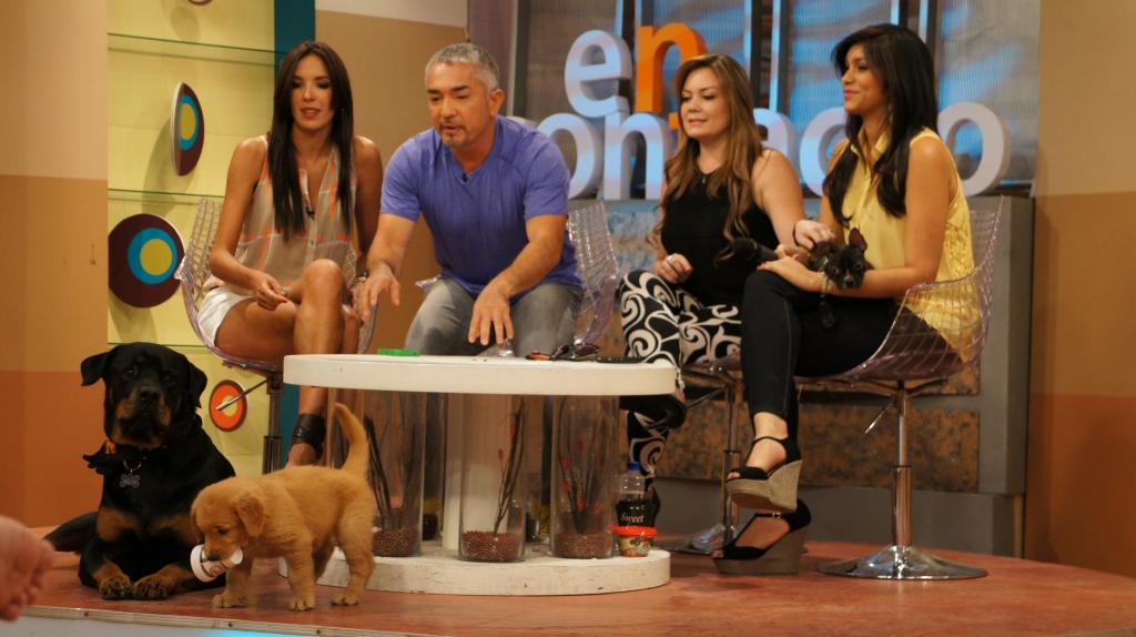 César Millán, el verdadero amigo del perro