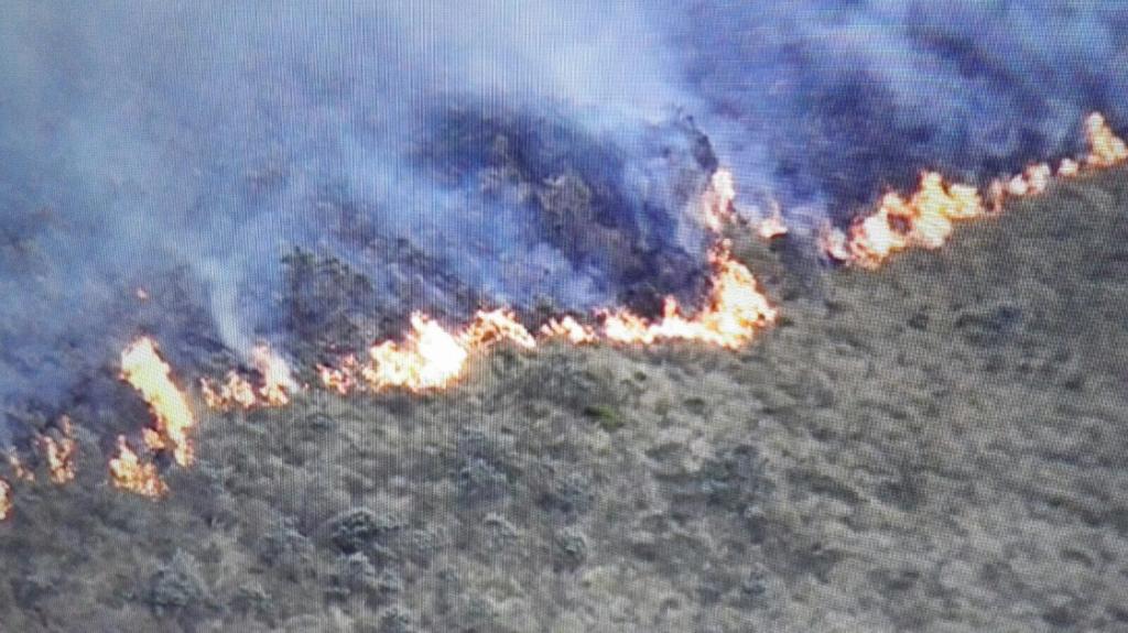 Incendio en reserva del Chimborazo consume 25 hectáreas de pajonal