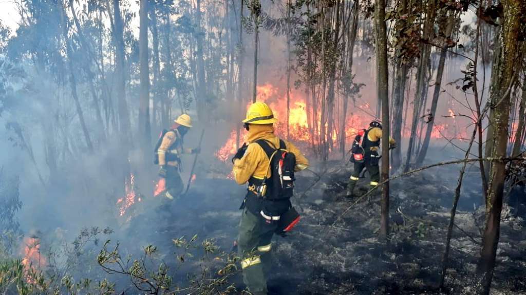Decenas de bomberos combaten incendio en Quito