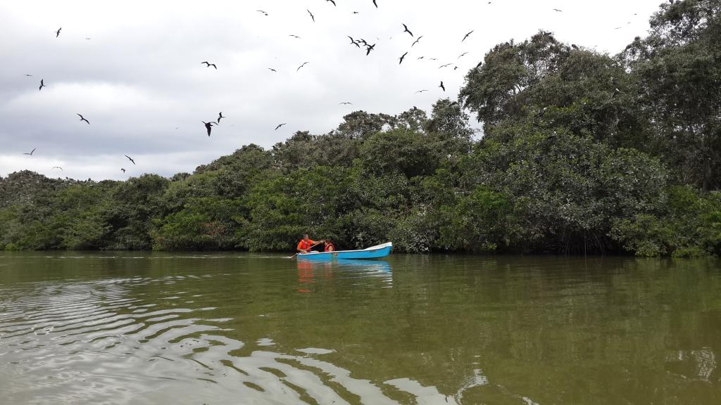 La sacrificada labor de los cangrejeros de Churute