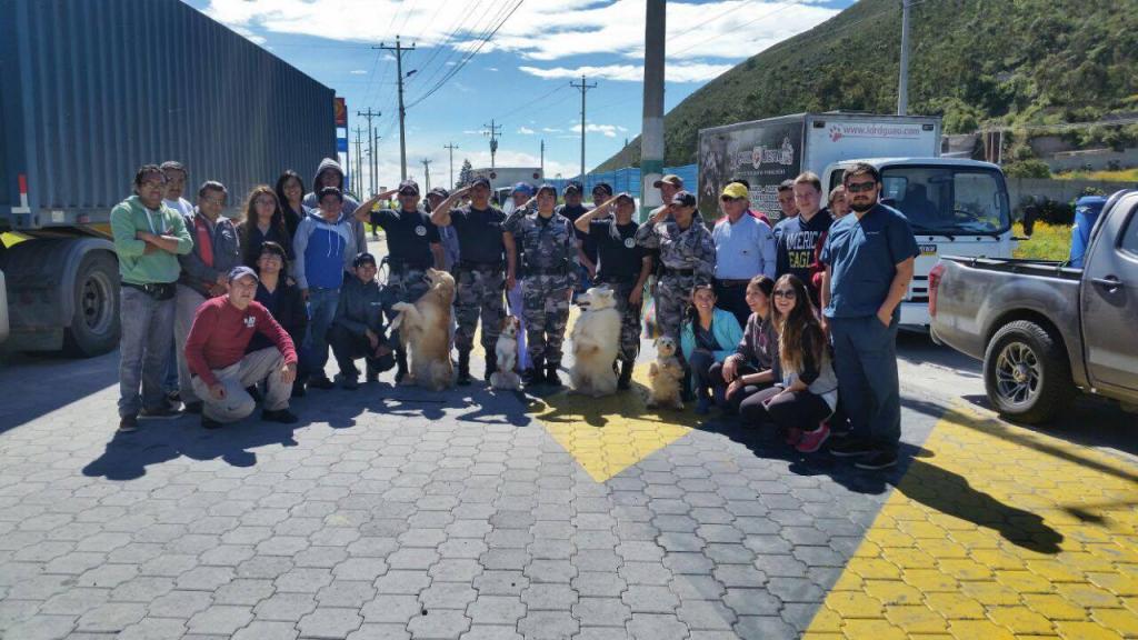 Veterinarios viajan a zonas devastadas para ayudar a mascotas damnificadas