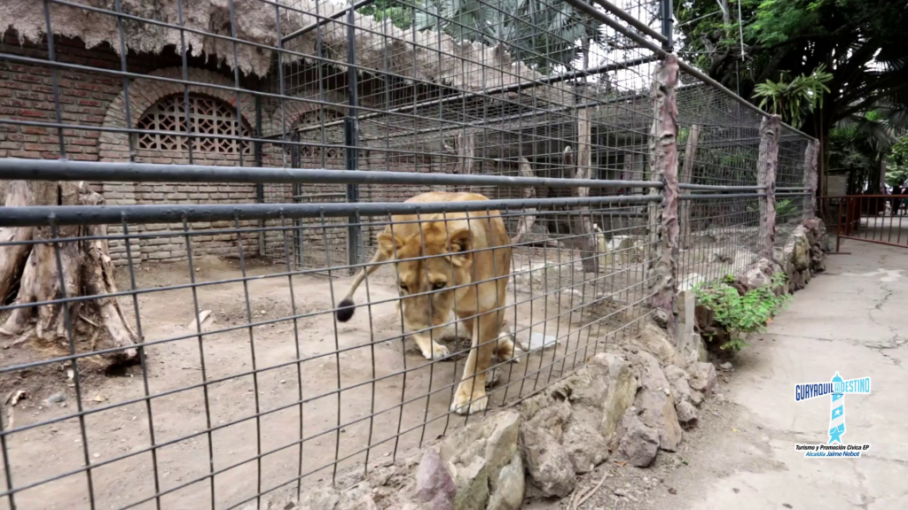 Aprende y diviértete en El Pantanal y Parque Lago
