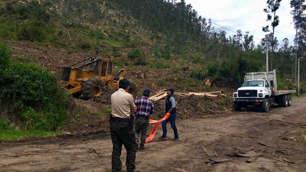 Quito busca proteger sector del volcán Ilaló