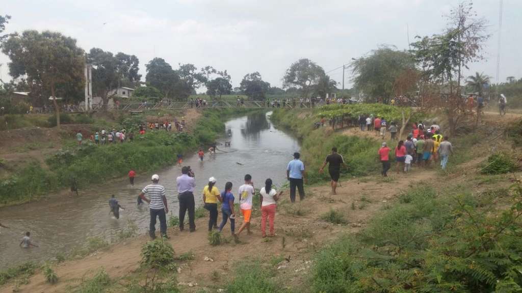 Hallan elefante marino en un río del cantón Yaguachi