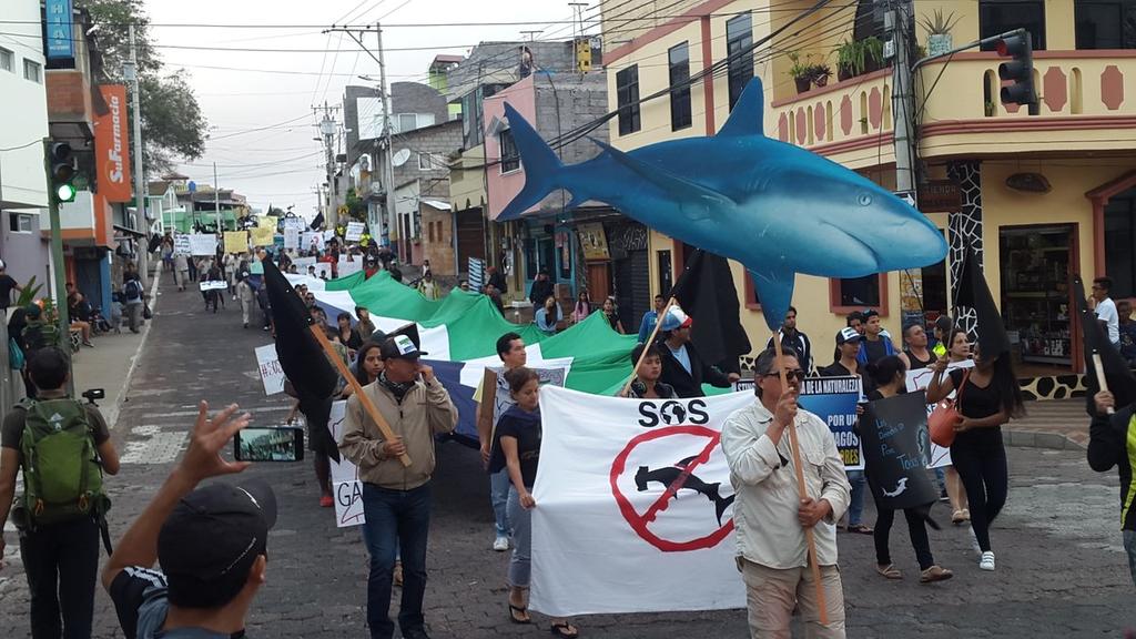 Continúa el jucio por pesca ilegal en las islas Galápagos