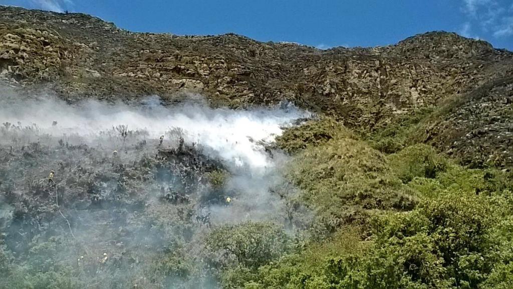 Bomberos continúan labores para sofocar incendio forestal en Papallacta