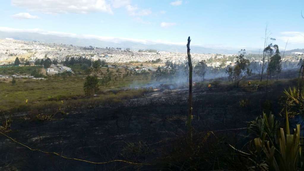Bomberos controlan incendio forestal en Carcelén, Quito