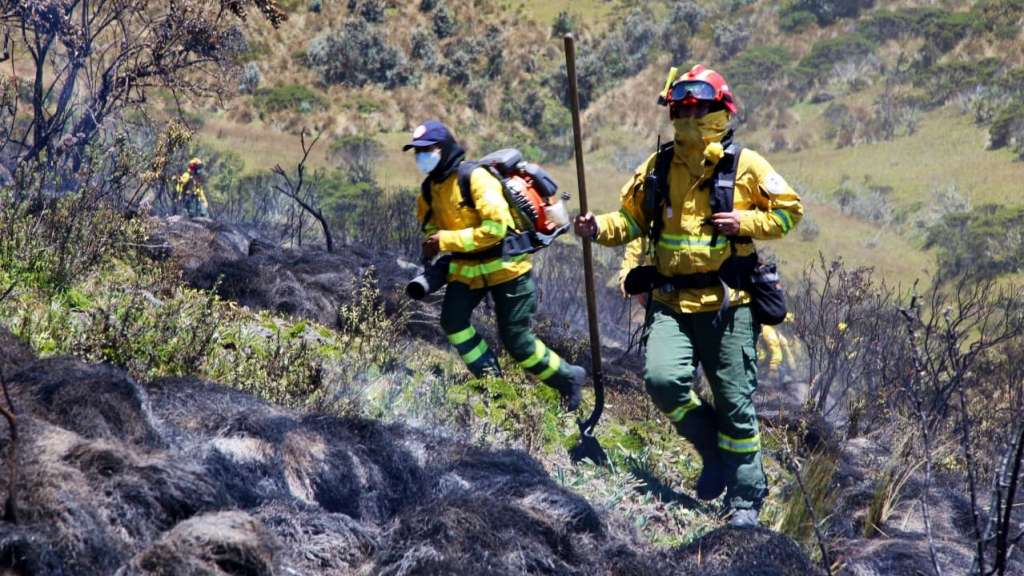 Bomberos sofocan incendio en reserva ecológica Yanacocha