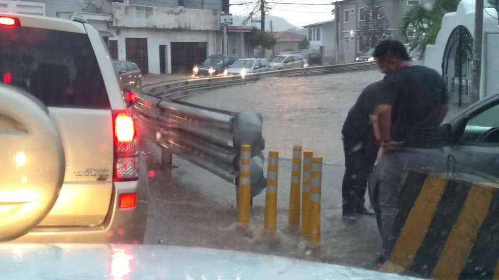 Árboles caídos e inundaciones por tormenta eléctrica en Guayaquil