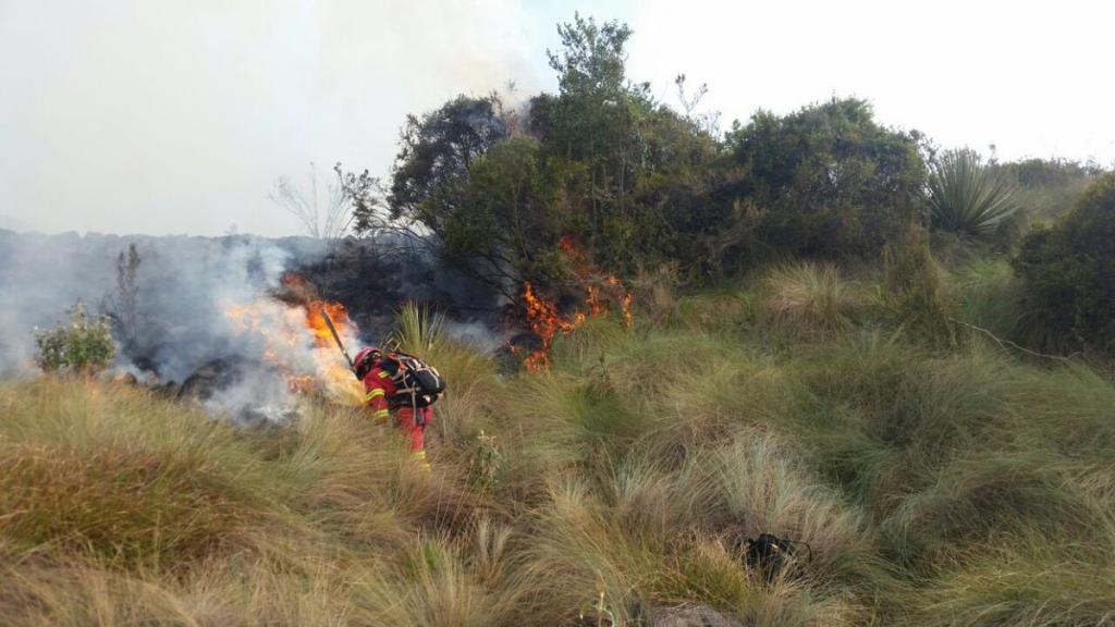 Incendio forestal consume más de 60 hectáreas en 2 zonas del Parque Nacional Cajas