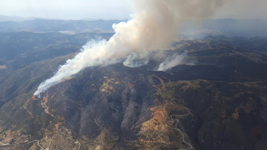 Incendios forestales en Azuay no dan tregua