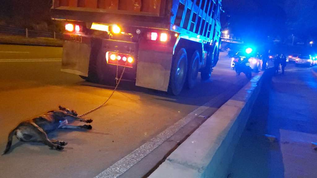Un perro muere encadenado y arrastrado en Cuenca
