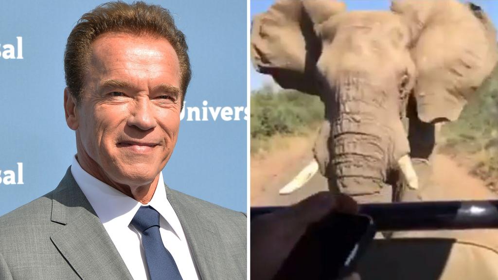 Arnold Schwarzenegger pasa susto al ser perseguido por un elefante