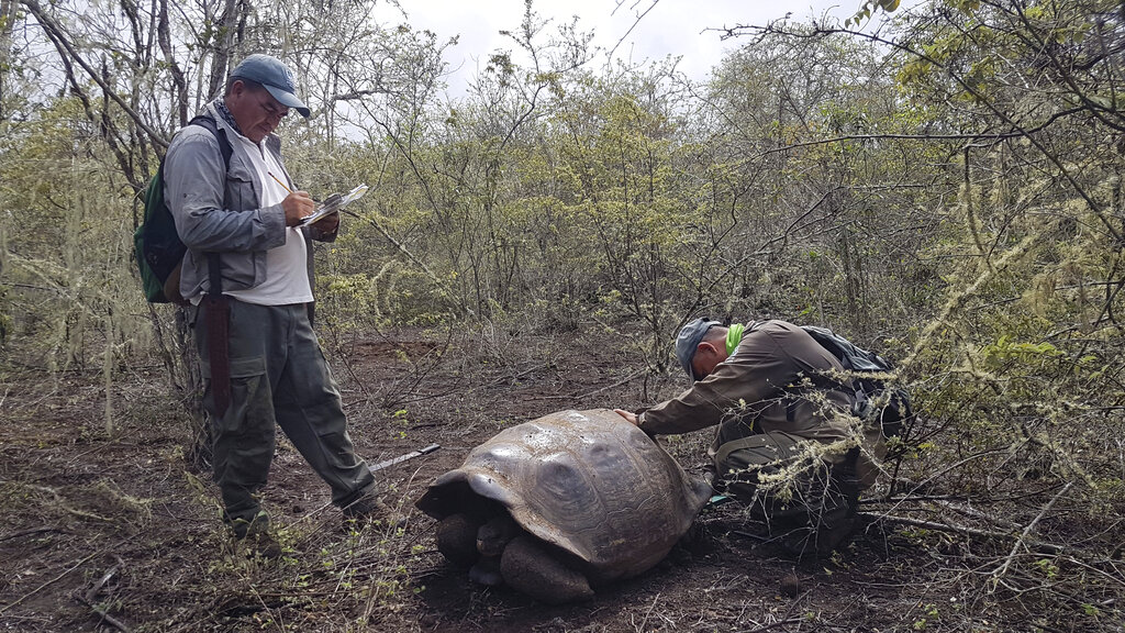 Recogen 8,3 toneladas de basura en cinco islas de Galápagos