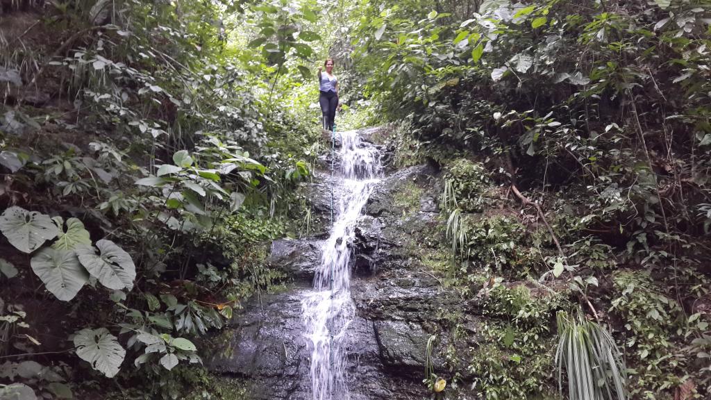 El bosque escondido &#039;Dos Mangas&#039;, un lugar apreciado por los turistas