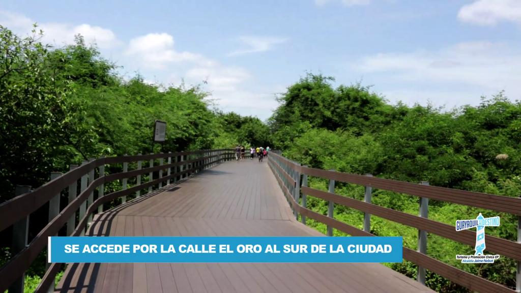 Disfruta recorriendo la Isla Santay