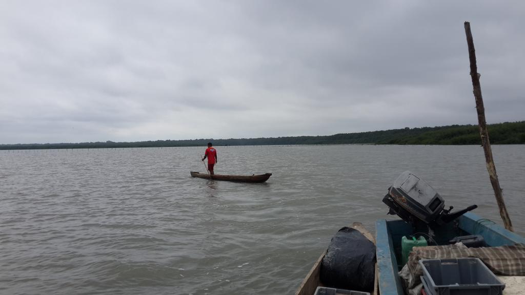 La ancestral labor de los pescadores del estuario del río Guayas