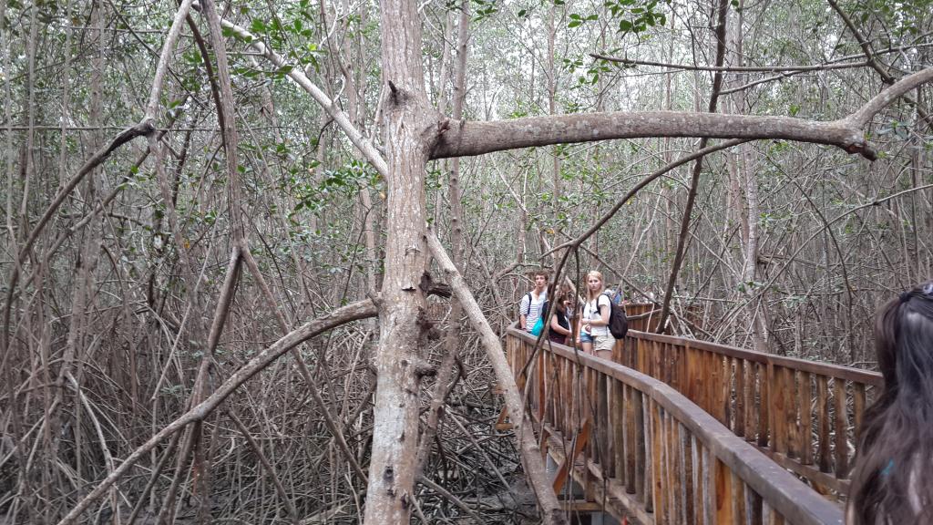 La sacrificada labor de los cangrejeros de Churute