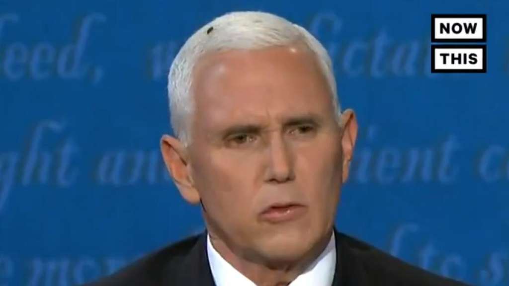 Una mosca, la invitada no deseada del debate Pence-Harris