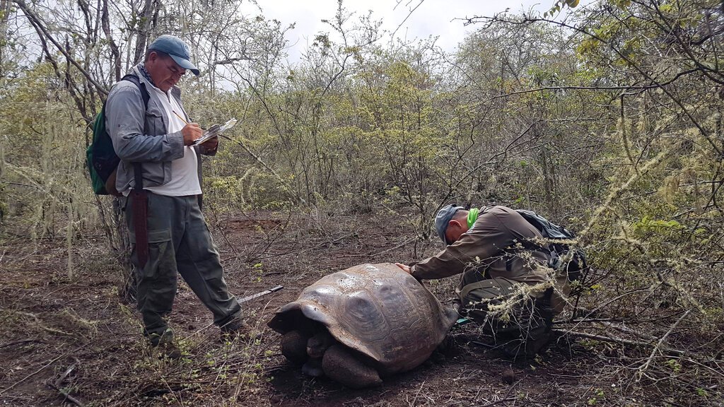 Instituto de Biodiversidad se une a consorcio de Códigos de Barra de la Vida