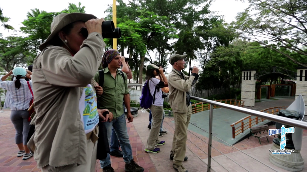 Guayaquil, destino ideal para el Aviturismo