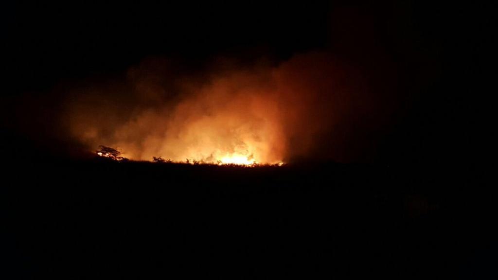 Incendio forestal en Cerro Azul aún no está controlado