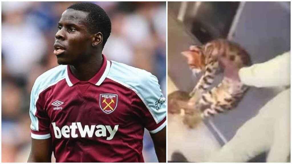Jugador del West Ham United fue filmado mientras golpeaba brutalmente a su gato