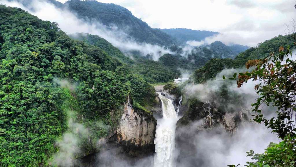 Seis países, entre ellos Ecuador, se unen por la Amazonía