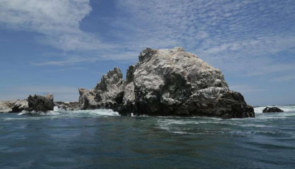 Perú creará reserva natural marina en frontera con Ecuador