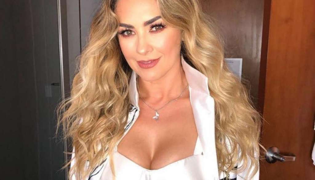 Aracely Arámbula presume sus curvas en lencería