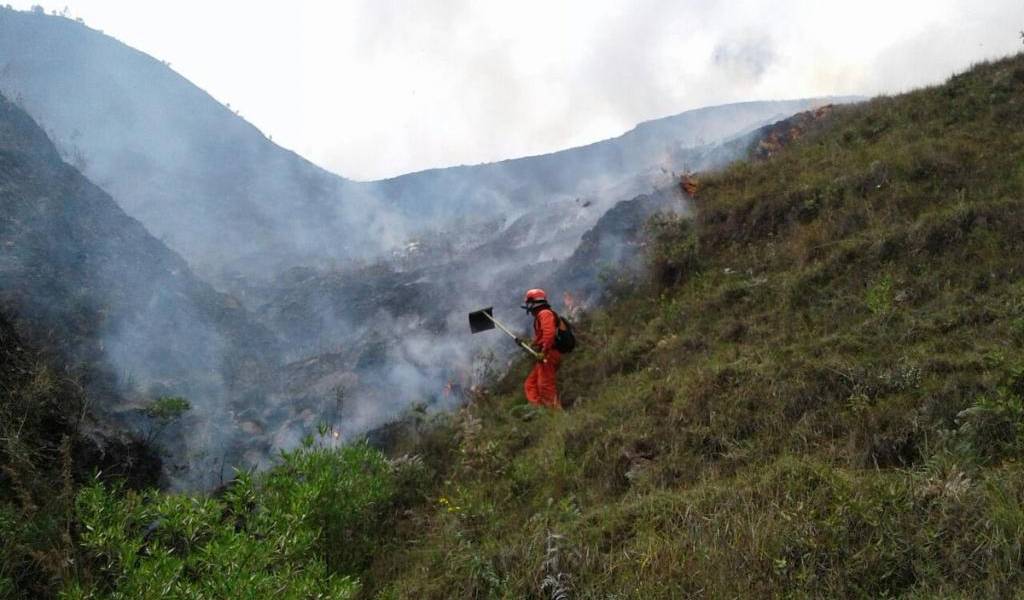 Incendio consume unas 100 hectáreas de pastizal y bosque de Loja