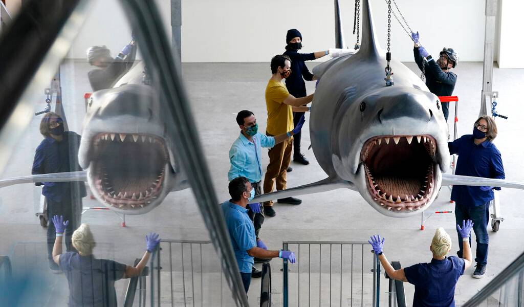 Increíble tiburón de fibra de vidrio hecho con el molde de “Jaws”