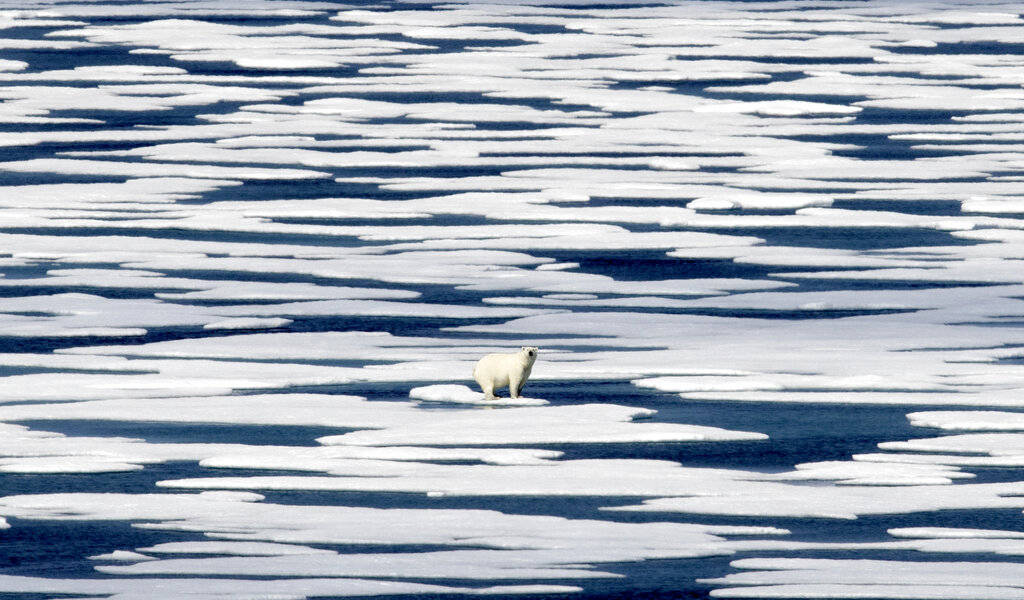La pandemia no frena la crisis climática en 2020, uno de los años más cálidos