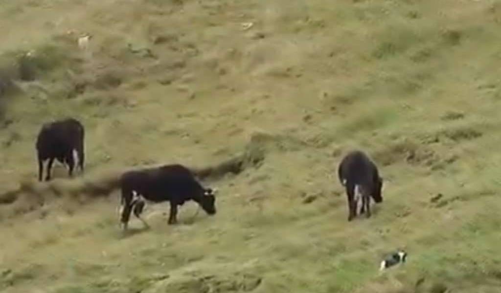 Parroquia Cebadas, una de las más afectadas por ceniza del volcán Sangay