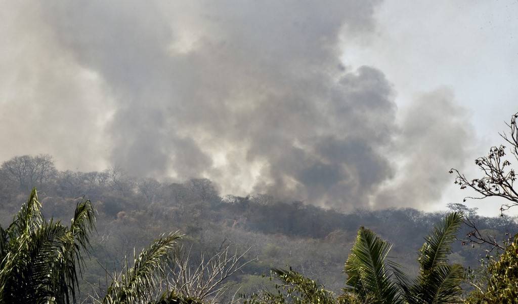 Evo Morales suspende campaña por incendios forestales